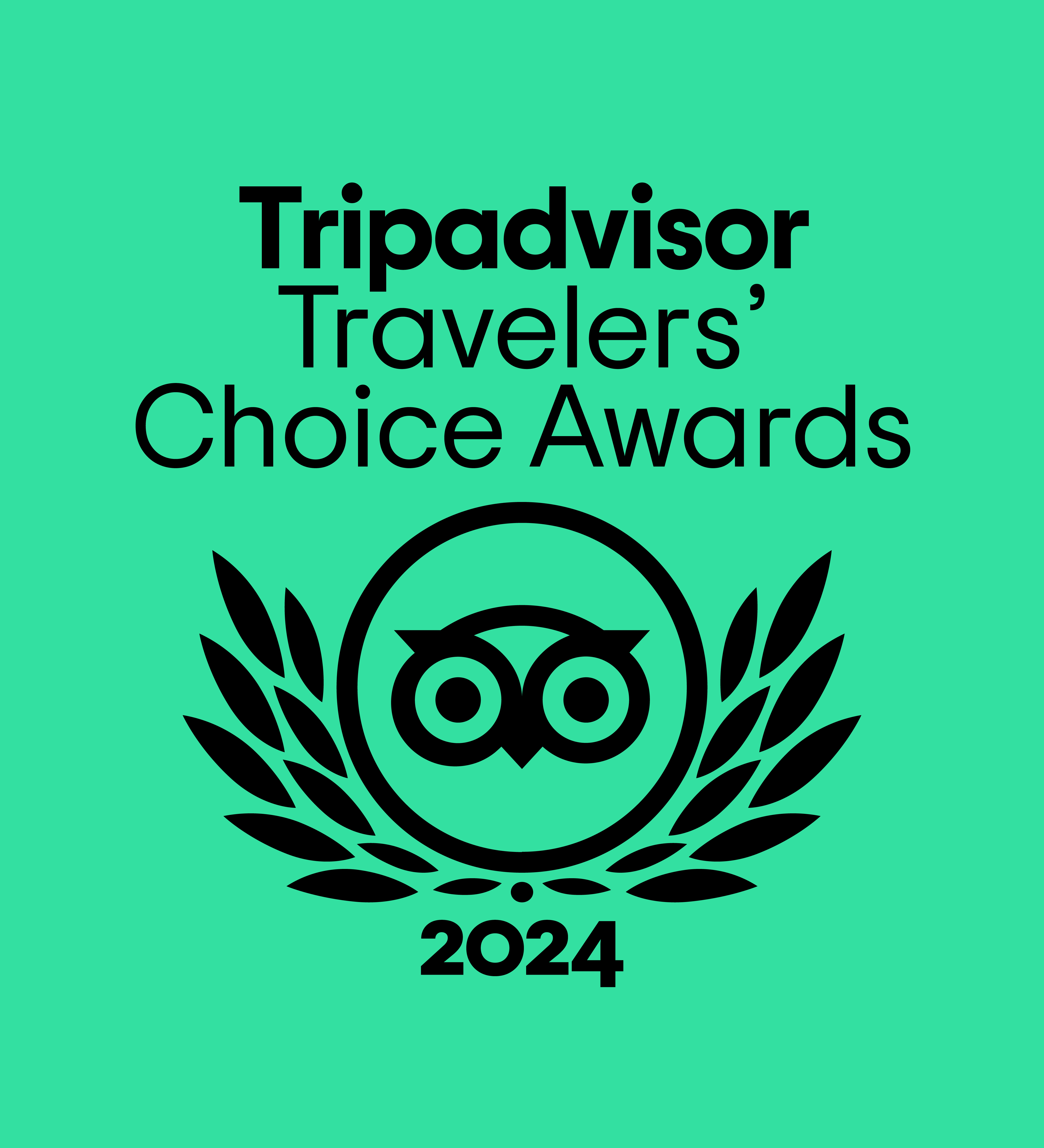 Tripadvisor Travelers Choice Award2 copy The Mystery & Magic Dinner Theater